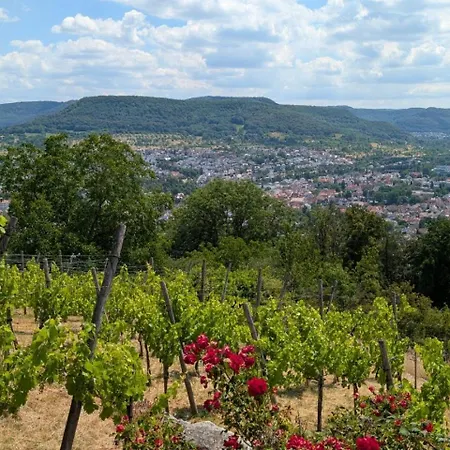 Echaztal Apartman Pfullingen